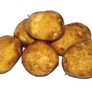 potato, young, food, the background, white, potatoes, potato, potato, potato, potato, potato, potatoes